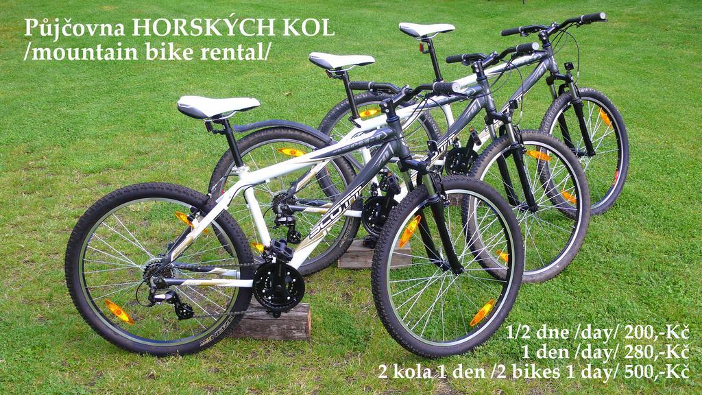 Penzion Fousek Zvíkovské Podhradí 외부 사진